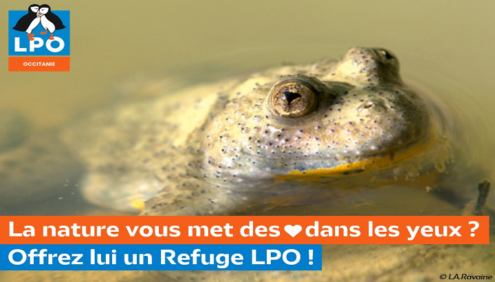 Pour la Saint Valentin : "matchez" avec la biodiversité !