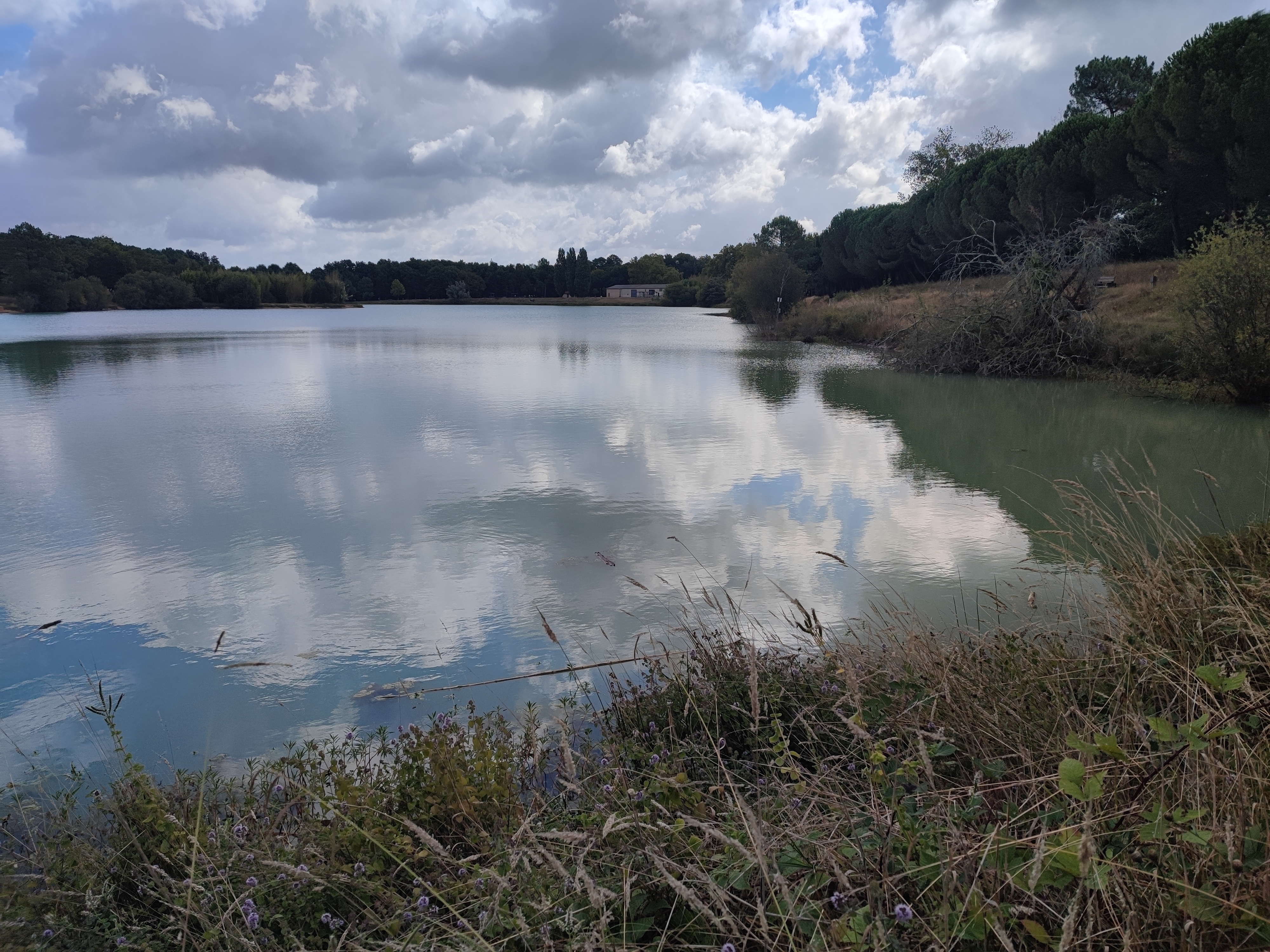 Retour de l'atelier Pollinisateur Sauvage - Groupe Refuge Gironde