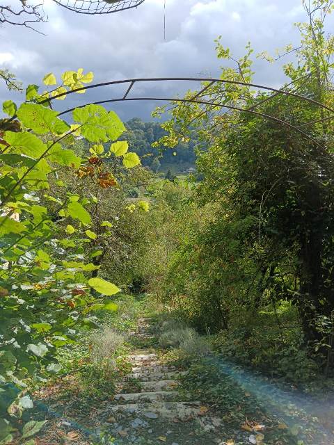 A la découverte d'un jardin Refuge LPO à Laon (02)