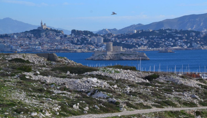 Marseille et la LPO Provence-Alpes-Côte d'Azur : un partenariat renforcé pour préserver la nature en ville