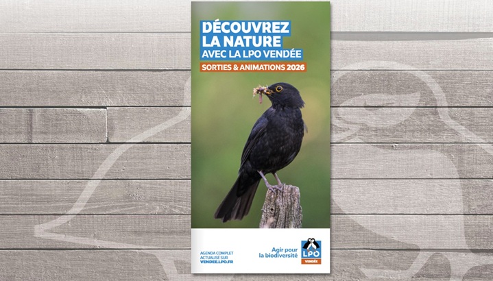 Le programme des sorties 2026 de la LPO Vendée est désormais disponible