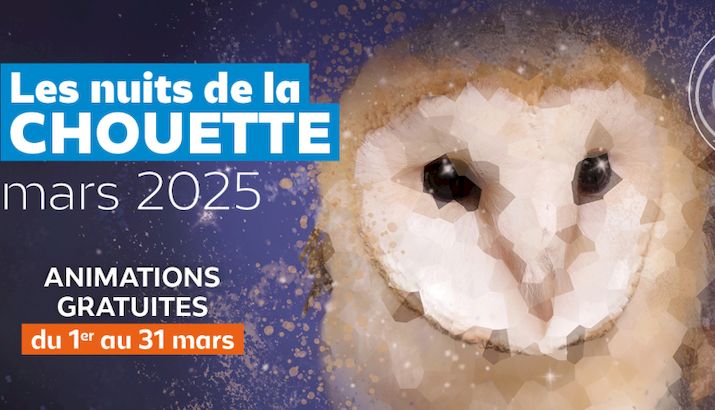 Nuits de la chouette - LPO