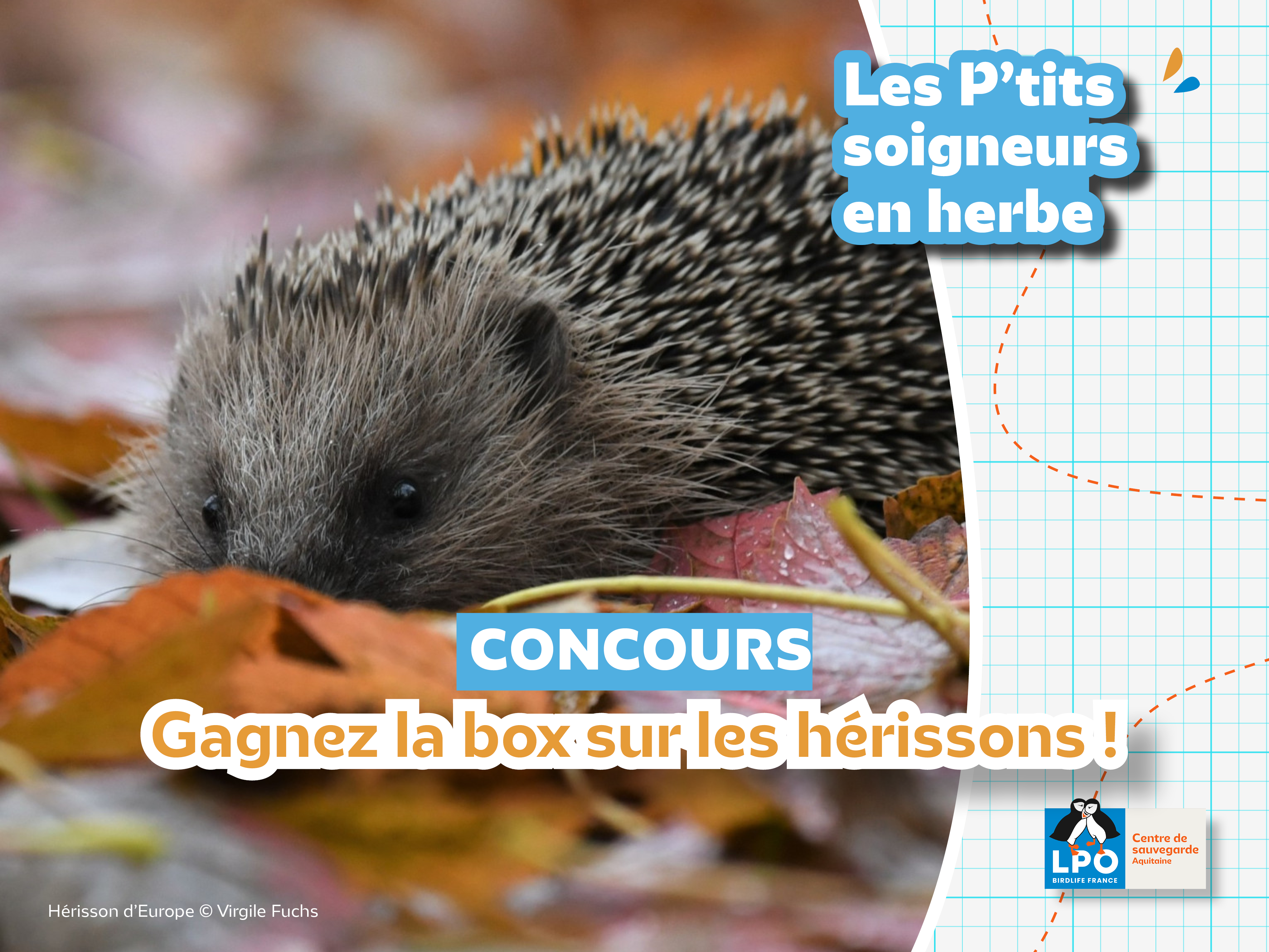 Concours box Les P'tits soigneurs en herbe