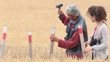 Initiation au suivi et à la protection des busards