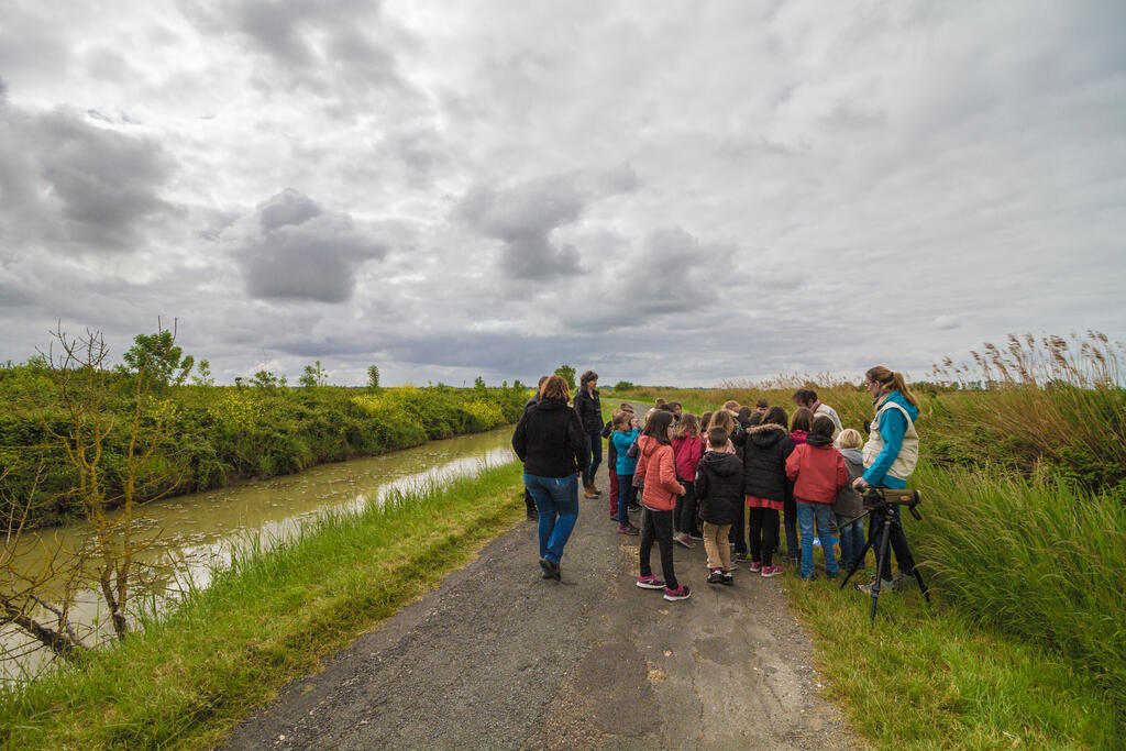 Sortie chant d'oiseaux et données naturalistes