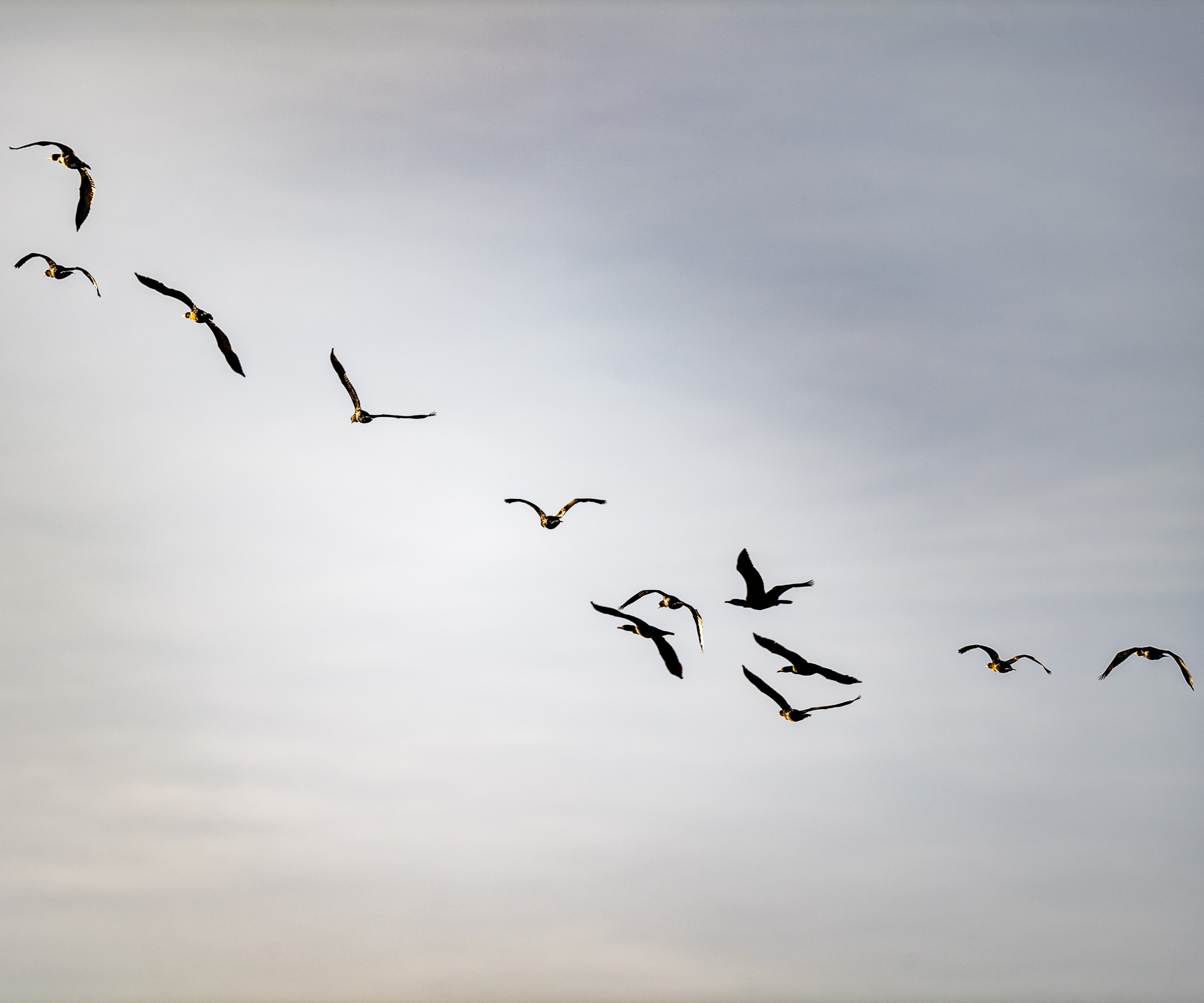 Wetlands 2026 : une prospection riche en surprises sur les étangs d’Eure-et-Loir (28)