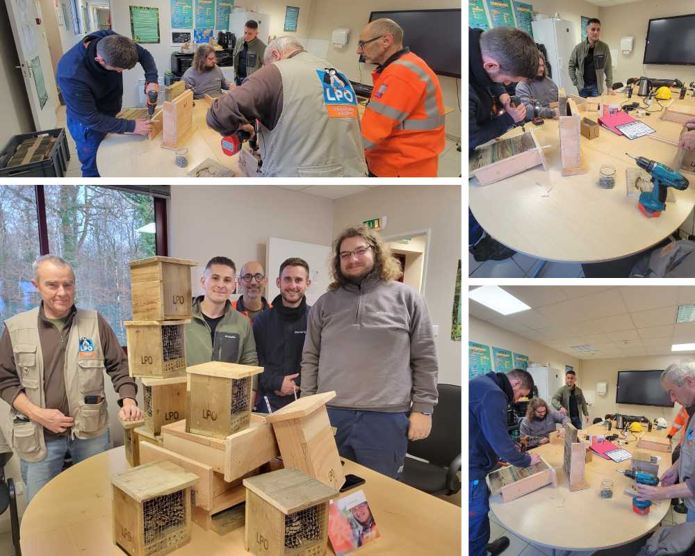 Quand STORENGY transforme son énergie en refuges pour la biodiversité