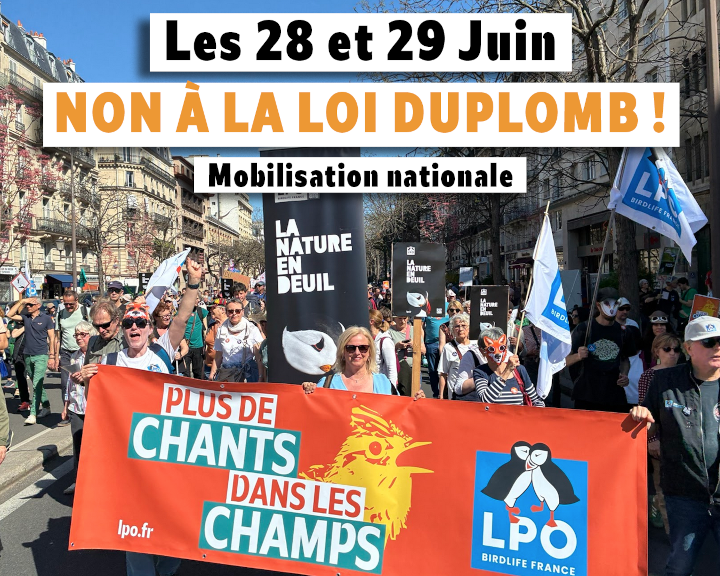 Non à la loi Duplomb !