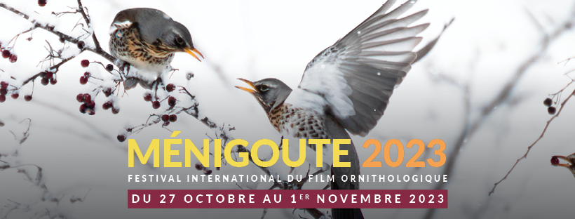 Affiche du 39e Festival International du Film Ornithologique de Ménigoute