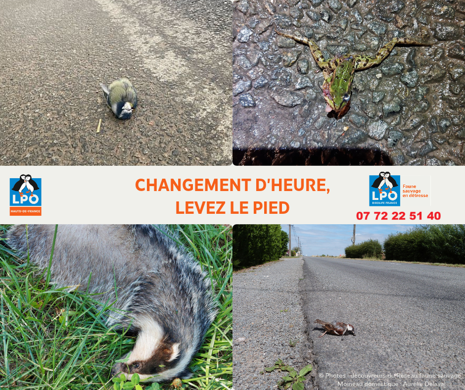 Changement d'heure, levez le pied