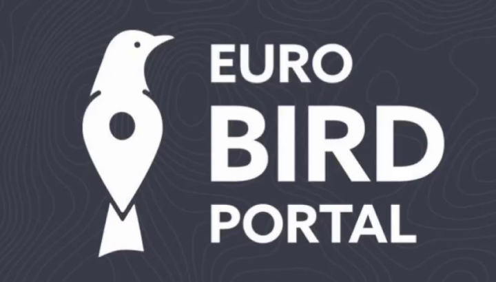 L'Europe à vol d'oiseau, en temps réel !