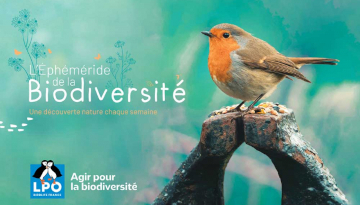 La LPO lance l’Ephéméride de la Biodiversité