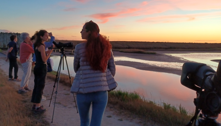 Visite de la réserve naturelle de Moëze-Oleron