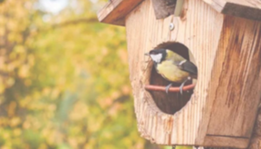 Balade au cœur de Toulouse avec la MAIF