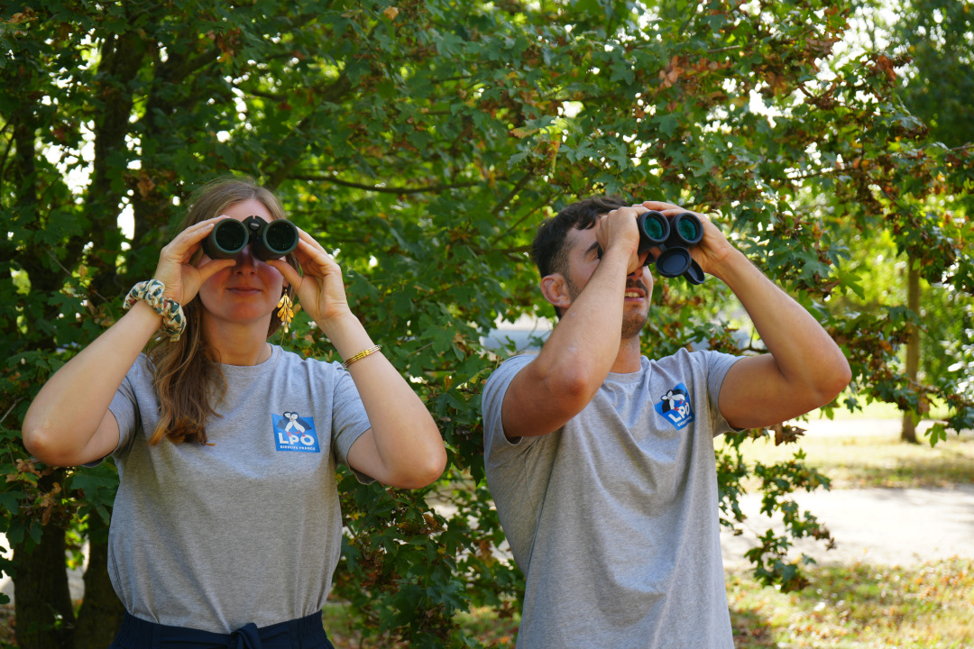 Deux personnes observant avec des jumelles et portant des tshirts avec le logo LPO