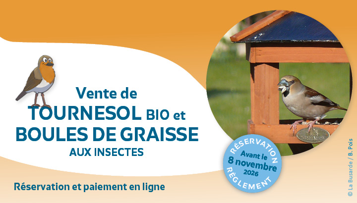 Vente de tournesol à Poitiers et à Châtellerault : réservez avant le 8 novembre 2026