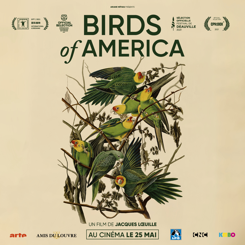 Affiche du film Birds of America