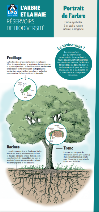 premier panneau de l'exposition l'arbre et la haie