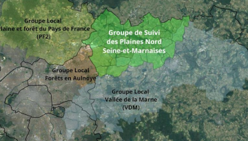 Rejoignez une nouvelle dynamique pour les oiseaux des plaines nord Seine-et-Marnaises !