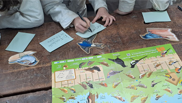 [Refuges LPO] Les acteurs du quartier Beaulieu en action à Poitiers.