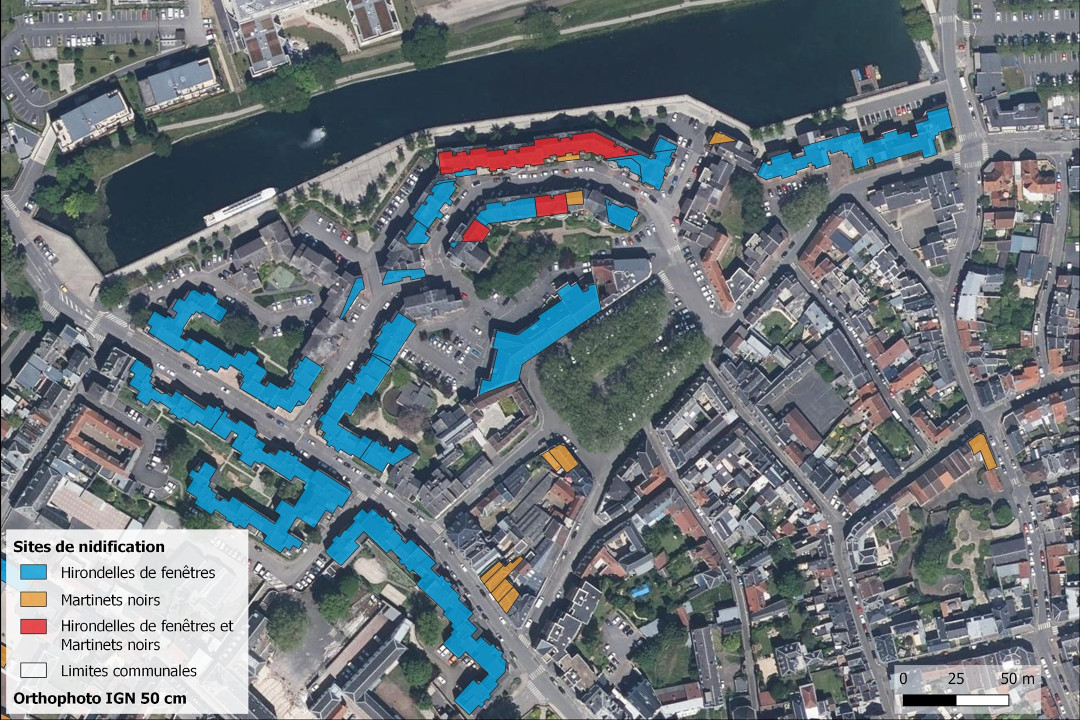 Cartographie de sites de nidification