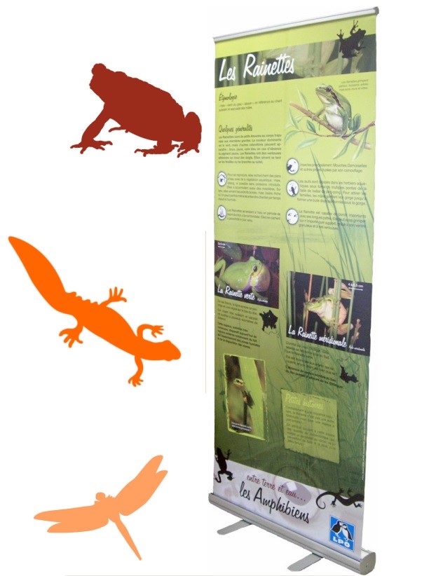 Amphibiens de France