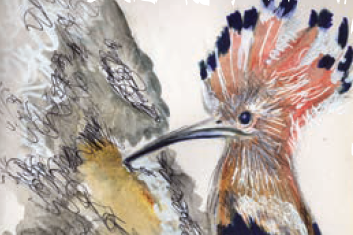 Plumes et pinceaux