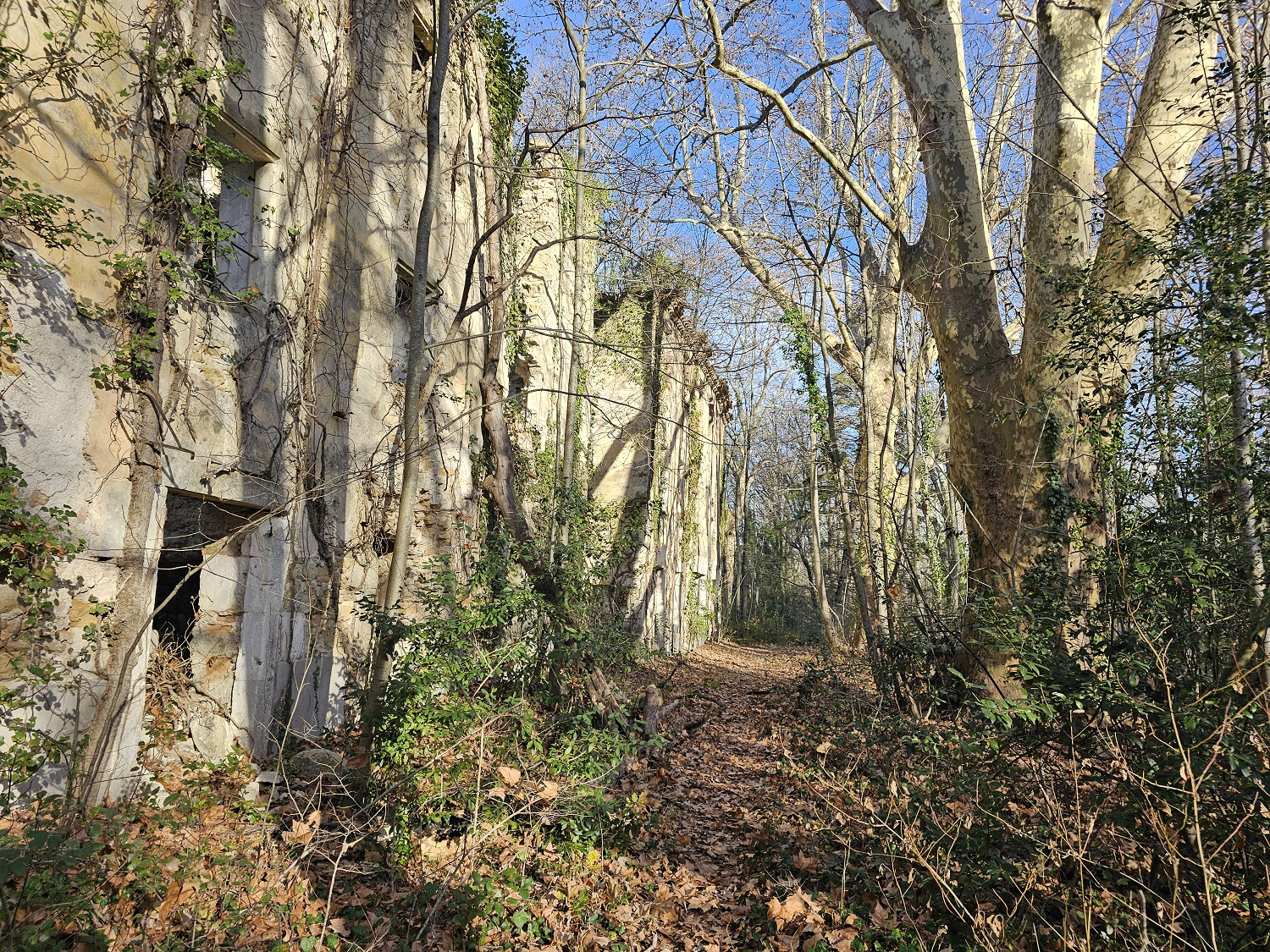Les bénévoles de la LPO Occitanie - Gard vous donnent rendez vous  le samedi 27 janvier , de 9h30 à 13h00 à Euzet , route des sources; ( D191) , sur le parking près des anciens thermes.  pour une balade matinale afin d'évaluer la faune sauvage et la biodiversité autour des ruines de la station thermale abandonnée depuis 1947.  Les bénévoles du JÉCi - Agglo d'Alès ont découvert ce site à l'occasion d'une opération. Depuis la fermeture de la station thermale la nature a repris ses droits et les grands platanes côtoient les frênes, peupliers, fusains et autres arbustes des sous bois.  Le site appartient à Alès Agglomération et un appel à projet est déjà lancé.  Comment préserver cette biodiversité ? La future activité du site est -elle compatible avec la préservation de la faune sauvage ?  Balade matinale sur des chemins un peu étroits et envahis par la végétation, écoute des oiseaux , recherche de traces de la faune sauvage.  A midi, repas tiré du sac et l'après midi, balade à travers champs et garrigues.