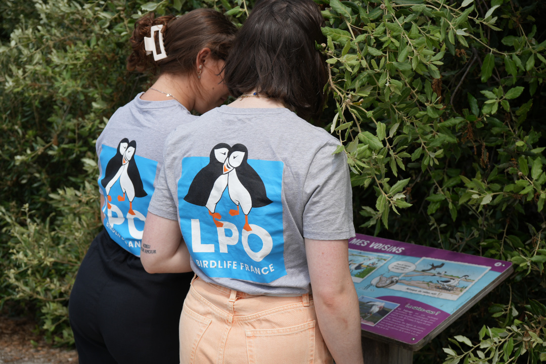 Un collectif d’associations s’engage pour le Service Civique Écologique
