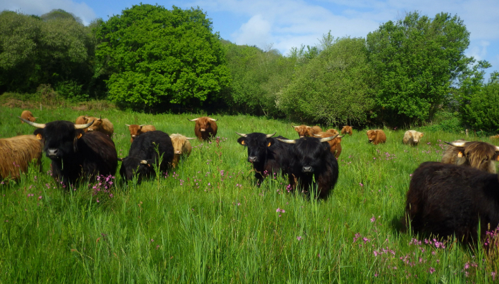 Devenir co propriétaire de terres dédiées à l'agriculture paysanne