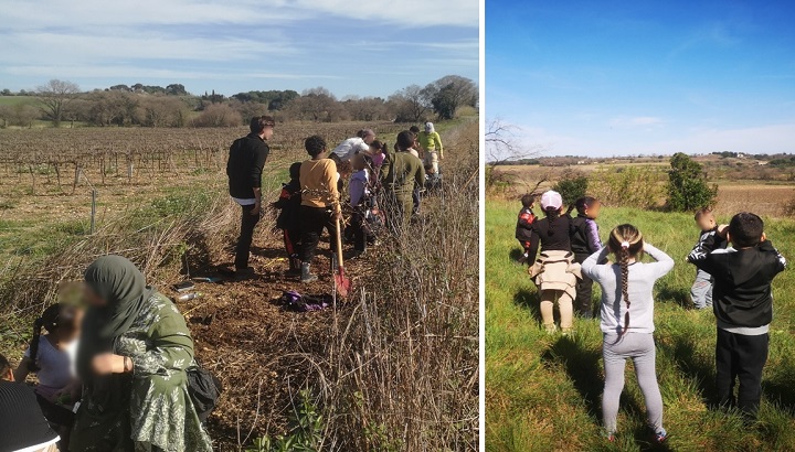 En mars, on observe, on plante et on cesse la taille des haies !