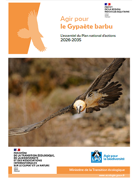 Essentiel du PNA en faveur du Gypaète barbu