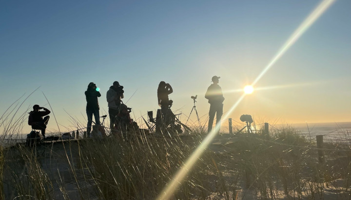 Mobilisation bénévole pour l'étude de la migration sur la Pointe du Cap Ferret