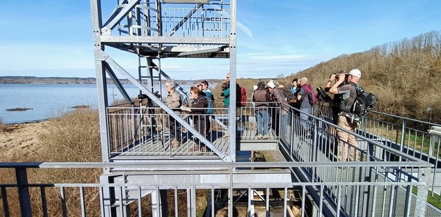 Marais d'Orx, retour sur la sortie du Groupe de Pau.