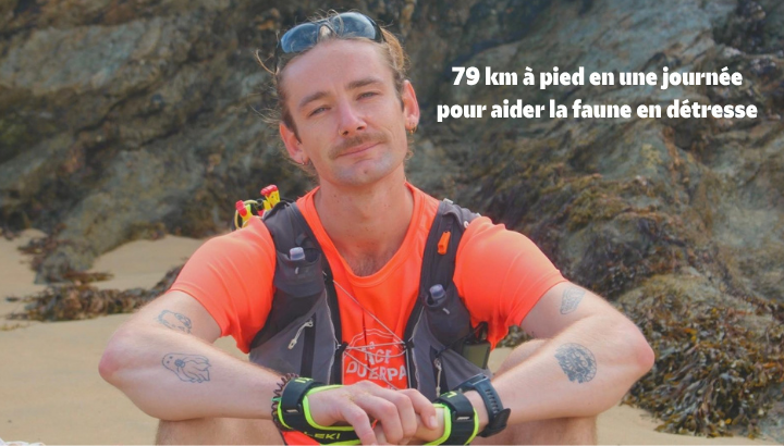 Un coureur parcourt 79 km en une journée pour la faune en détresse