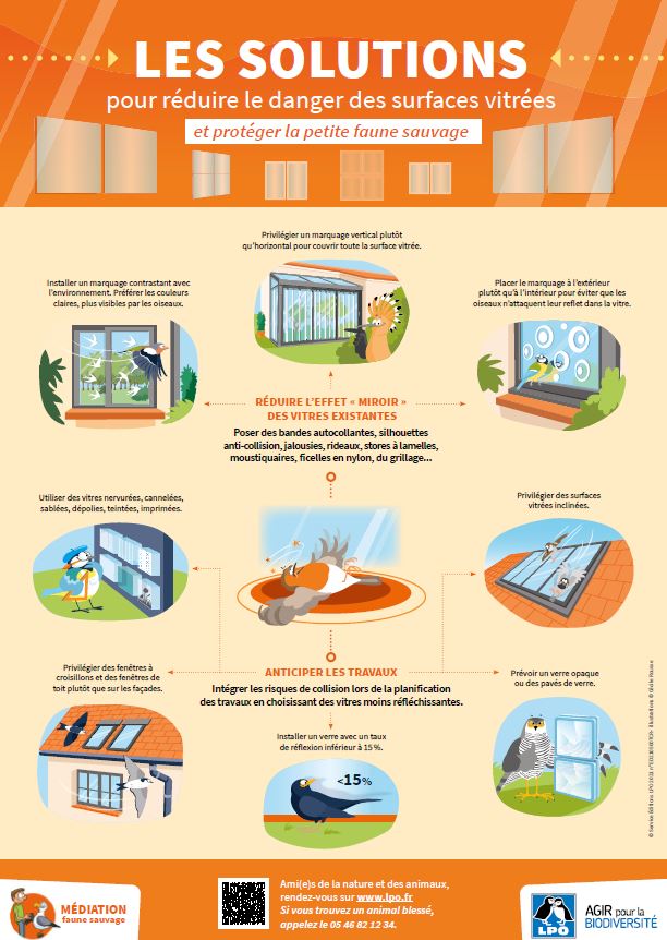 Poster Les solutions pour réduire le danger des surfaces vitrées