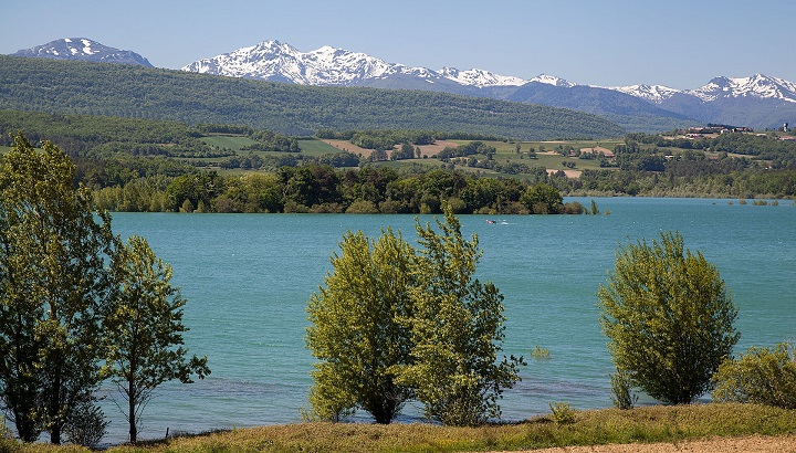 Balade ornithologique autour du lac de Montbel