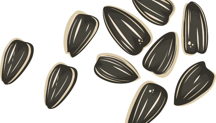 L'hiver arrive, créez vos boules de graisses !