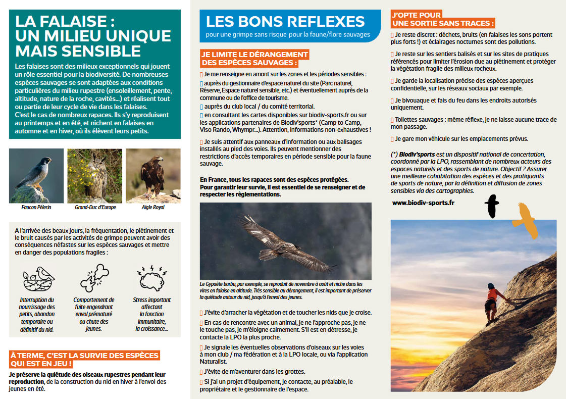 Dépliant "La falaise : un milieu unique mais sensible"