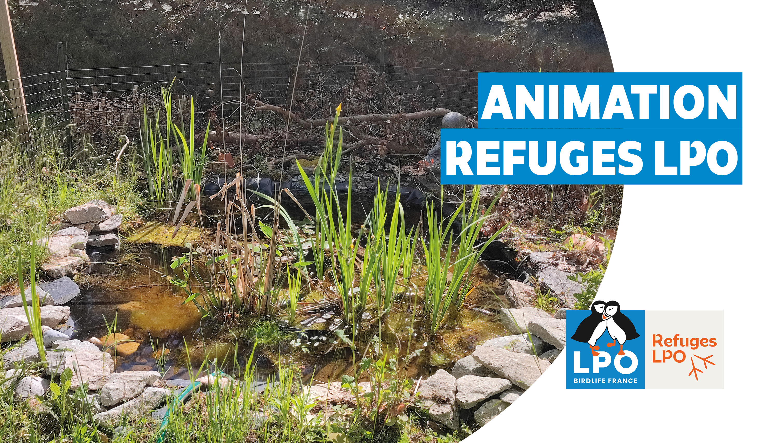 Visite d'un jardin Refuge LPO