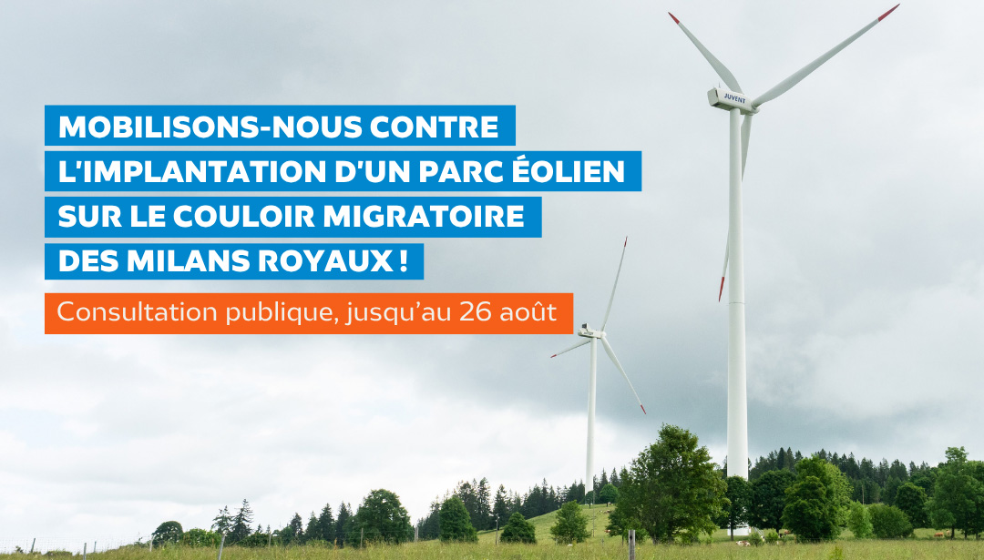 Mobilisons-nous contre l'implantation d'un parc éolien sur le couloir migratoire des milans royaux !