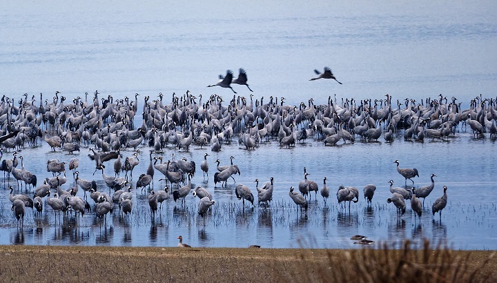 Sortie au lac de Puydarrieux