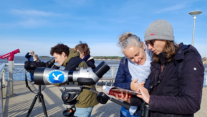 L'école d'ornithologie débarque en Aquitaine !