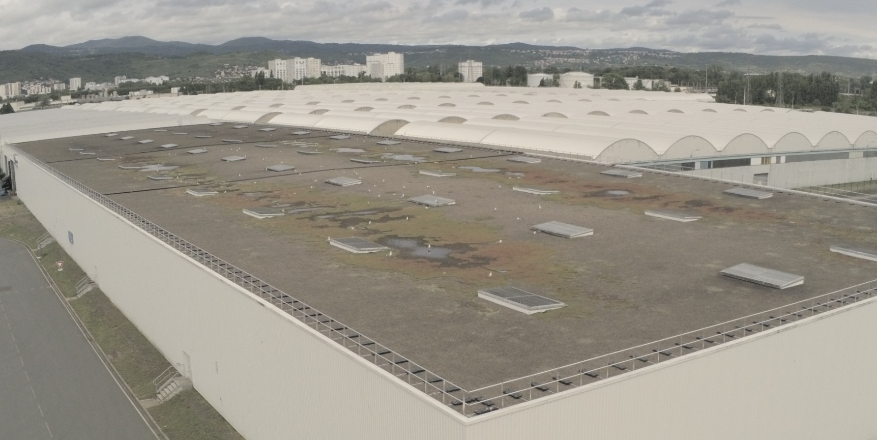 Quand la nature s’invite sur le toit d’un entrepôt Michelin
