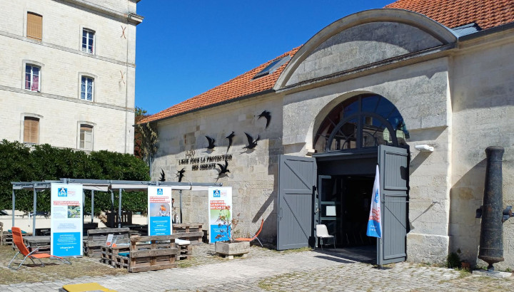 Retour sur les Journées européennes du patrimoine 2026