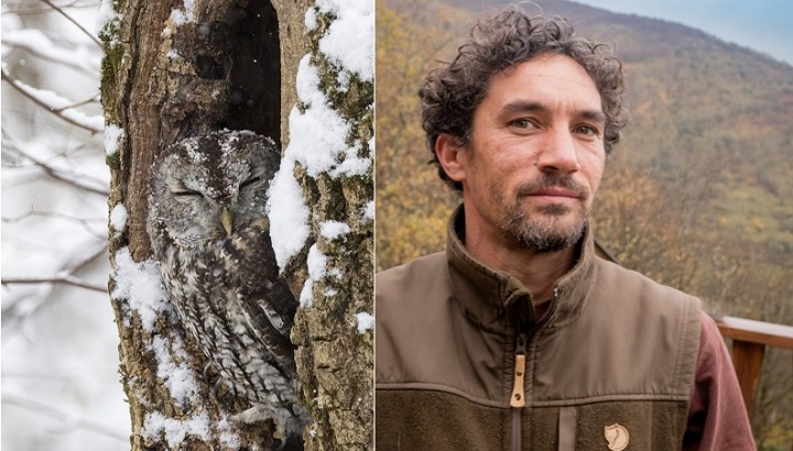 Journée mondiale du bénévolat : derrière l’objectif, des photographes bénévoles LPO époustouflant·es