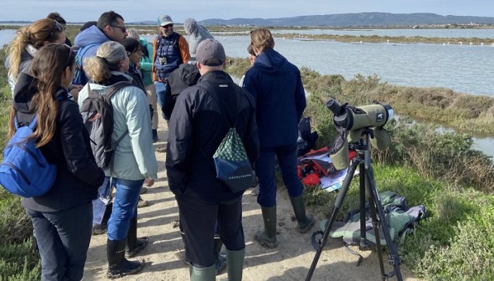 Venez observer la nature sur le littoral languedocien à travers les sports nautiques