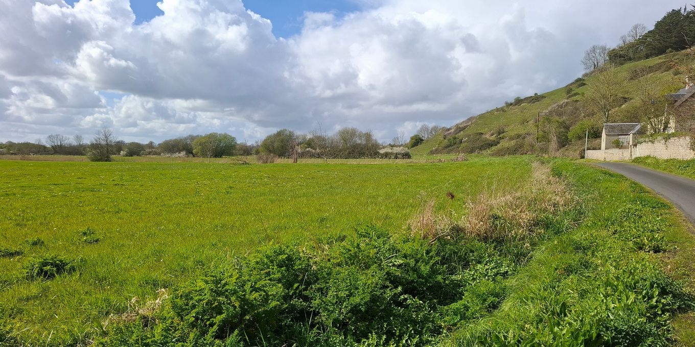 Week-end naturaliste dans le Bessin