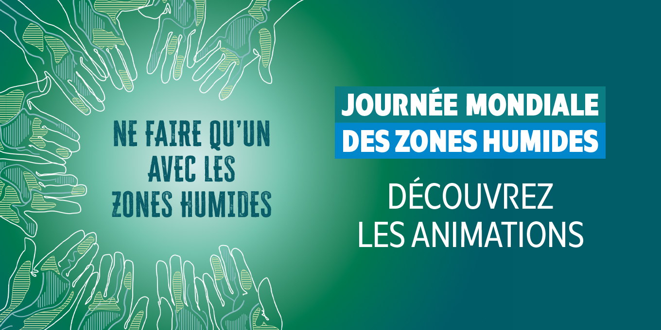 Cap sur les zones humides à l’occasion de la JMZH 2026