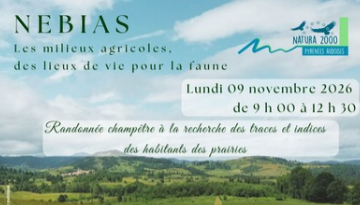 Traces et indices des habitants des prairies à Nébias